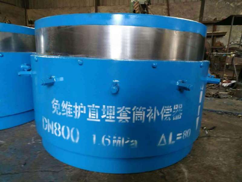 直埋補（bǔ）償器